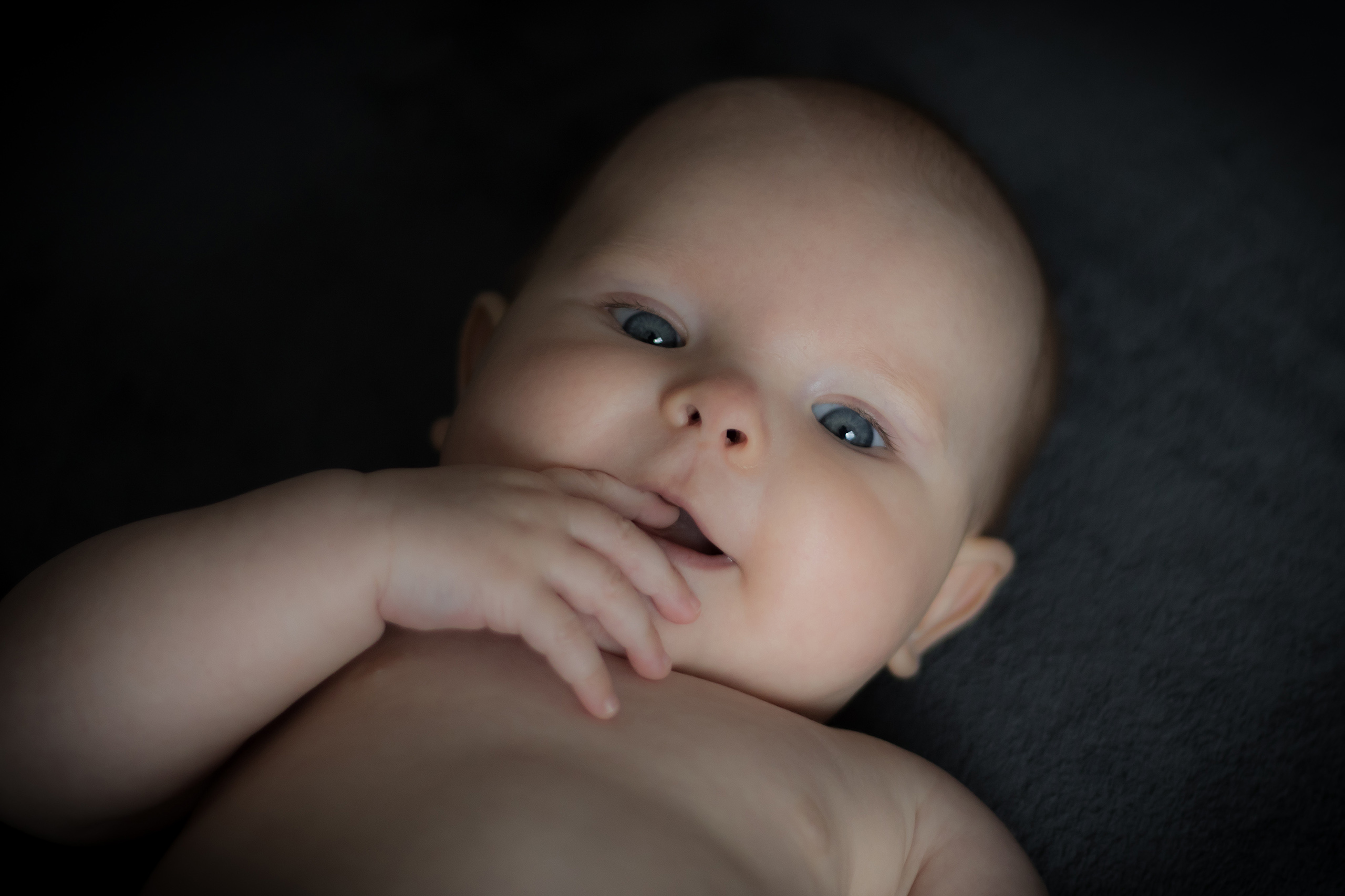 poddi fotografie